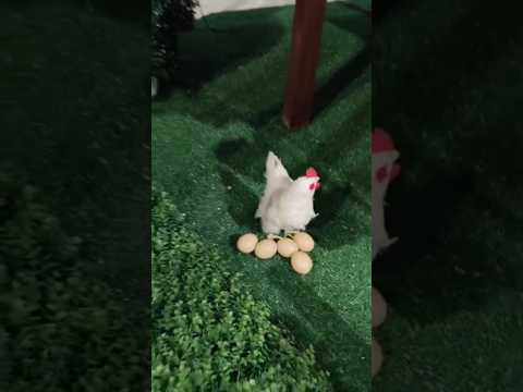 Bollywood’s Most ICONIC Dialogue Scenes (with Props)