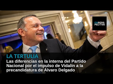 Diferencias en el Partido Nacional por el impulso de Vidalín a la precandidatura de Álvaro Delgado