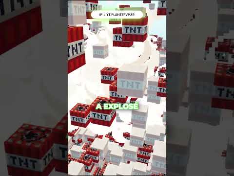 Ce joueur a dépensé 200 euros mais est intuable sur mon serveur minecraft.