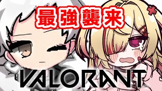 【valorant】最強ゲーマー襲来！？はぐらぴどかどかばおらんと！【はぐみぃ/VTuber】