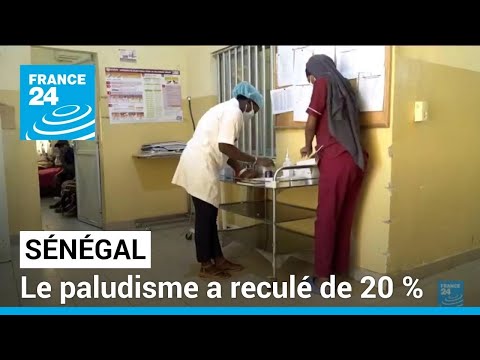 Paludisme au Sénégal : recul de 20 % de la maladie • FRANCE 24