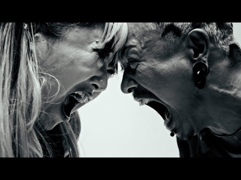 WANIMA 「Matatabi」OFFICIAL MUSIC VIDEO - アニメ『ニャイト・オブ・ザ・リビングキャット』EDテーマ