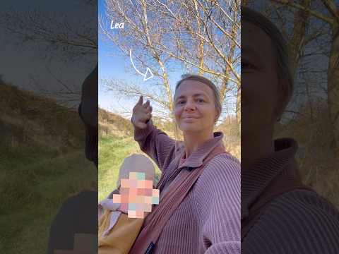 Vanlife Alltag als Familie I Mini Vlog mit Baby #vollzeitvanlife #vanlifediaries #vanlifefamily