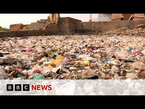 Earthshot Prize winner aims to tackle food waste in India - BBC News