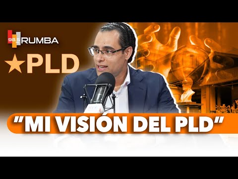 JUAN ARIE ASEGURA QUE NO SE REELEGIRÁ PARA EL COMITÉ POLÍTICO DEL PLD