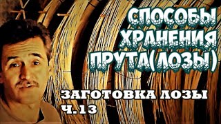 Заготовка, очистка и хранение ивовой лозы | Лесоматериалы | Деревянное строительство | Novosibdom