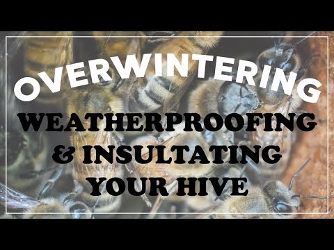 Weatherproofing & Insulating Your Hive