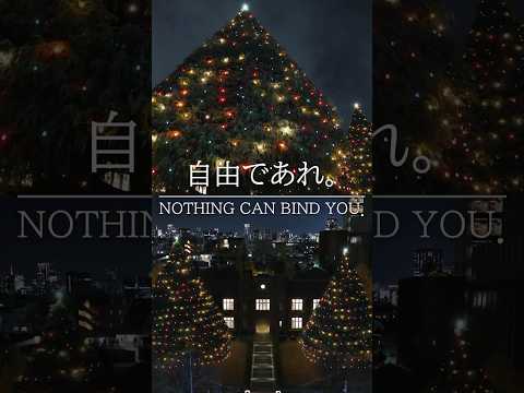 Discover Rikkyo:Ikebukuro Campus Tour in Autumn(#shorts ver.)【立教大学公式】