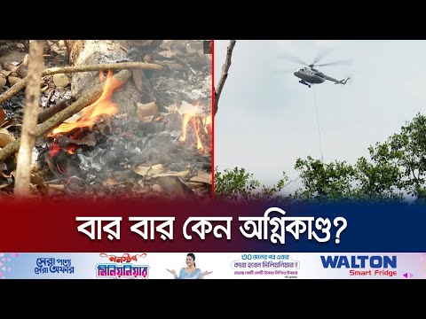 সুন্দরবনে আগুনের ঘটনা কি প্রাকৃতিক নাকি মানবসৃষ্ট? তদন্তের দাবি | Sundarbans Fire | Jamuna TV