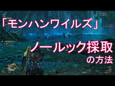 【小ネタ】「モンハンワイルズ」 「採取」をノールックでする方法