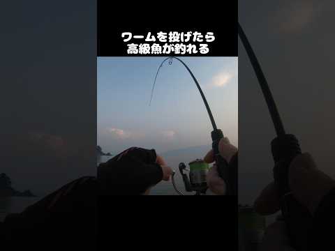 thumbnail_Uj7Yl2TrqF8