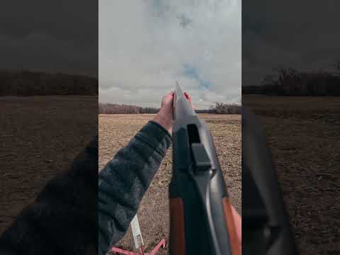 If you could only own one gun, there's a strong case for a Henry break-action 20 gauge!