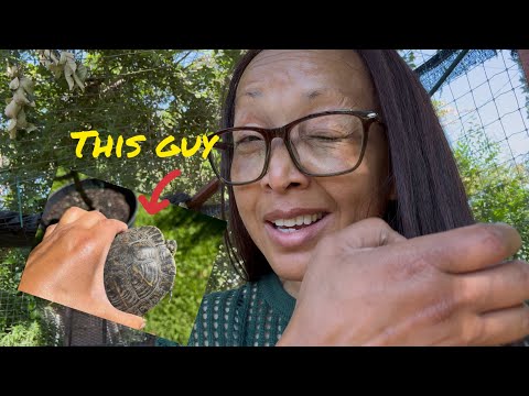 YouTube video thumbnail