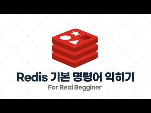 Redis 입문·실전 - 2.2. Redis 기본 명령어 익히기