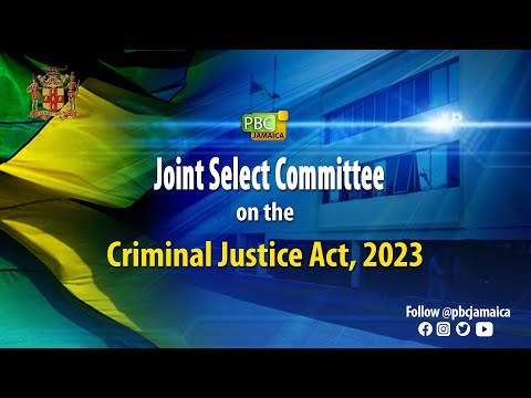 Joint Select Committee on the Criminal Justice Act, 2023 - May 17, 2023