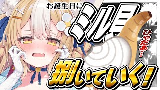 ￤誕生日料理企画￤ミル貝を捌いていくっ！！！カメラ配信【飴望にぃな/ Varium】
