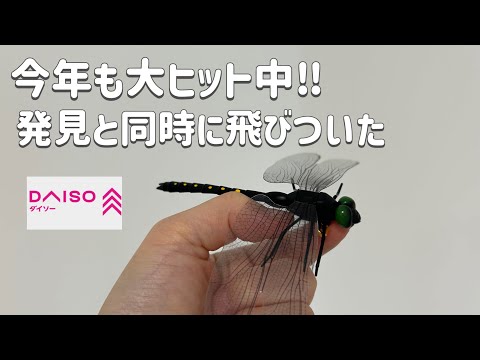 【100均】昨年手に入らなかったコレ！今年ついにゲット！DAISO新作etc.