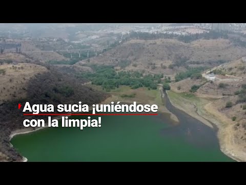 #VivirSinAgua | En medio de la sequía y la escasez, la presa presa Madín está contaminada