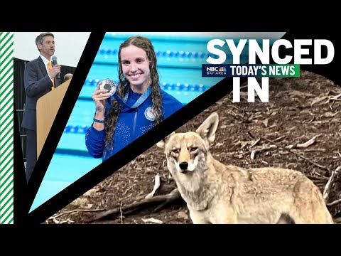 In the news: Coyotes kill dog in San Francisco, San Jose using AI for street safety, Team USA’s wins