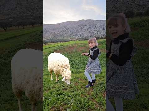 شوفو شو عملت سميره في براء بالحجره السحريه !!😱