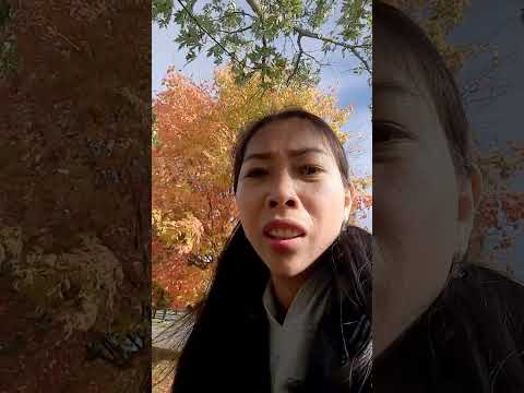 Chia sẽ về bệnh Lupus, Thận, tim mạch, ngũ tạng, xương khớp, đục Thủy tinh thể, thiếu máu...