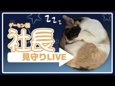 thumbnail_UkDMMAIOcvI