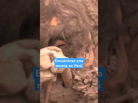 Encuentran una momia de mil años de antigüedad en Perú