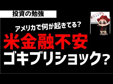 アメリカの金融市場不安に?ゴキブリショックが起きるのか?ズボラ株投資