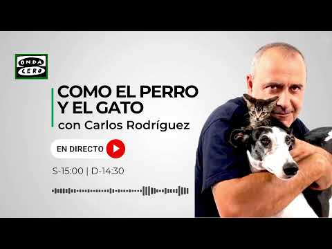 Como el perro y el gato 11/11/2023