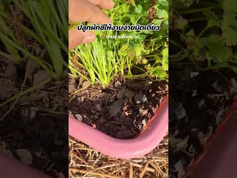 อรุณสวัสดิ์เช้าวันใหม่ขอให้ทุก