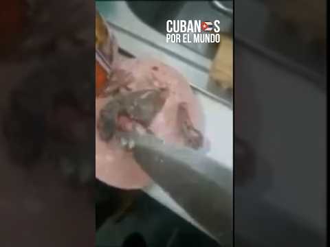 Comida cubana para el pueblo de Cuba, mortadella con rana y ratas