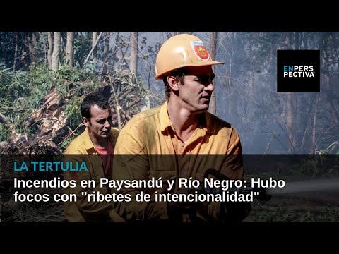 Incendios en Paysandú y Río Negro: Hubo focos con ribetes de intencionalidad