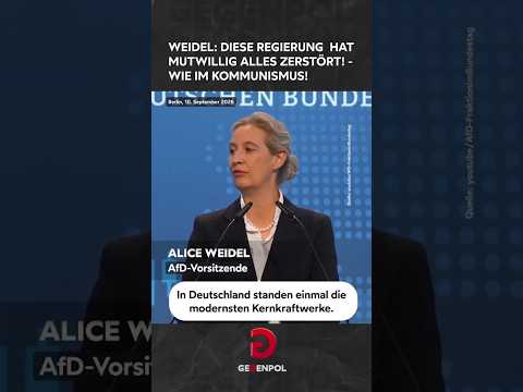 #Weidel #<strong>AfD</strong> #Regierung