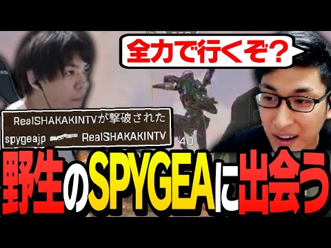 釈迦、SPYGEAが奇跡的に同じマッチに参戦していることを知った関【ApexLegends】