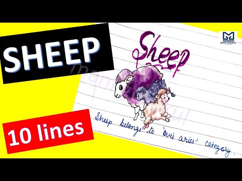 10 LINES ESSAY ON SHEEP #Sheep essay in english #10 lines on sheep essay #Essay on sheep