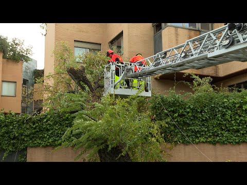 Los bomberos del Ayuntamiento de Madrid realizan 85 intervenciones debido al viento