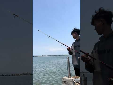 The Same 😅#fishing #trending #shortvideo #reels #fishing #cooking #food #funny #viralvideo