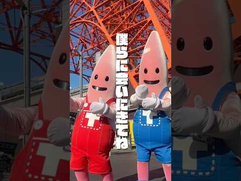 【東京タワー】僕たちのこと教えます。。#shorts #tokyotower