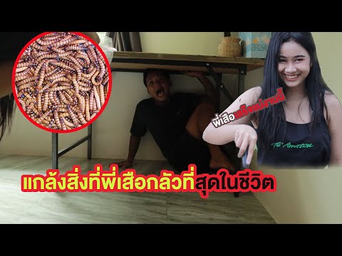 Soryผัวจ้า-EP.1(เสือโดนเเกล้งจ Soryผัวจ้า-EP.1(เสือโดนเเกล้งจ