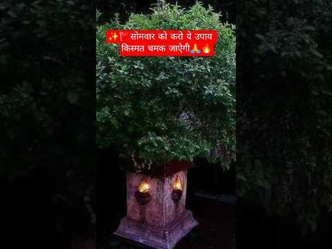 सोमवार को करो ये उपाय किस्मत चमक जाऐगी#panditmishrajikeupay #pradeepmishra #sihorewale #hindugodas