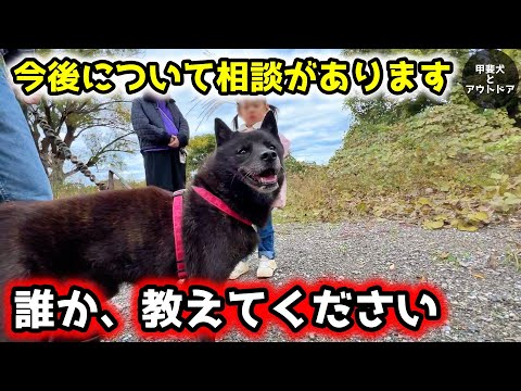 今後について相談があります【甲斐犬一休と猫のしずく】