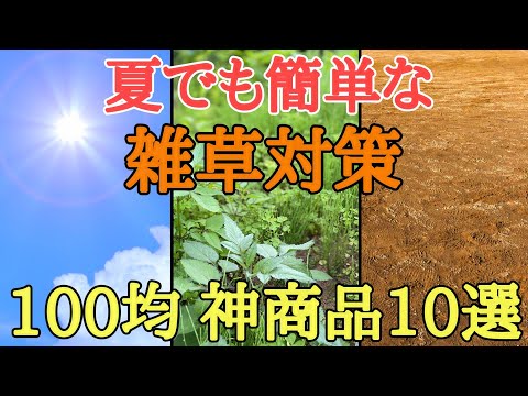 雑草対策｜目からうろこの100均グッズ活用法を紹介します。