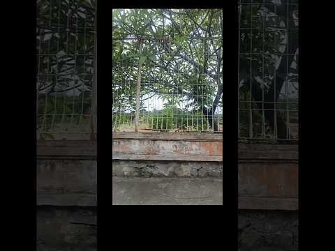 #hadiah Fun World nya 🎉🎊🥲💔 #tak #nyangka #mengherankan #2024 #2025