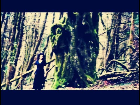 Pete Mac (Paradox) Concert Tickets - 2026 Tour Dates.