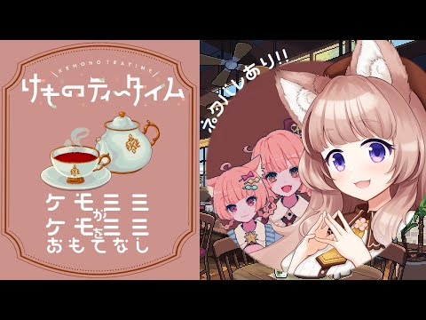 thumbnail_UldwwjWsMcc