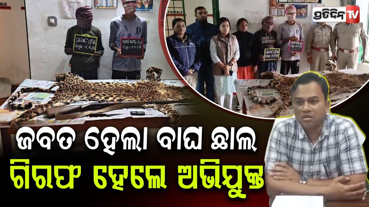 ଫୁଲବାଣୀରୁ ଜବତ ହେଲା ଚିତାବାଘ ଛାଲ , ୨ ଜଣ ଗିରଫ । Forest Department seize one leopard skin in Kandhamal
