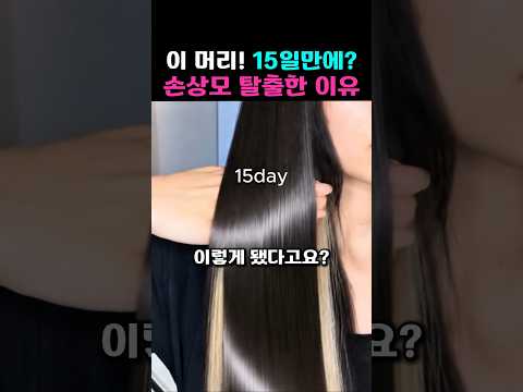 손상모였던 내 머리, 15일 만에 이렇게 바뀐 이유