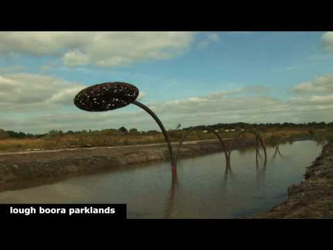 Lough Boora Parklands Sculpture - System No. 30 Week 3