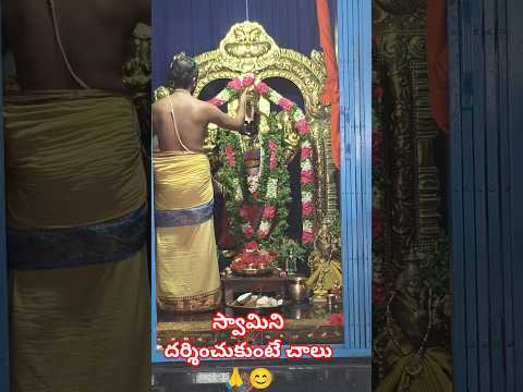 ఆపదమొక్కులవాడ అనాధ రక్షక గోవిందా గోవిందా 🙏 #ytshorts #govinda #subscribe #like