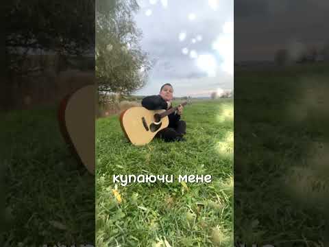 ALLEXXEY - Гаї шумлять ( shorts )